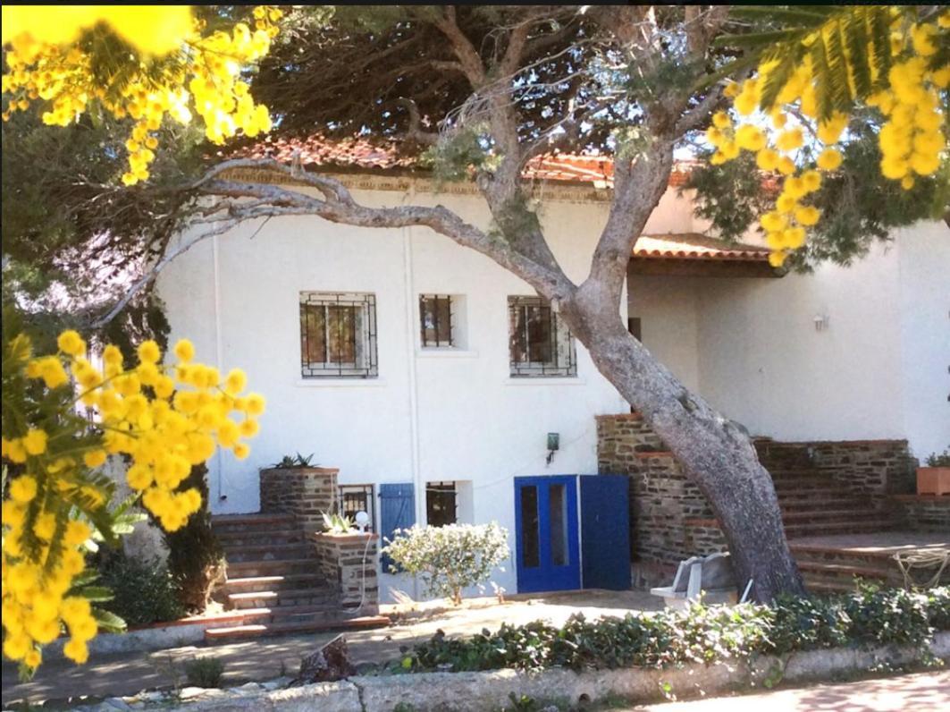 Villa Bleue - Les Pins Port Vendres Exteriör bild