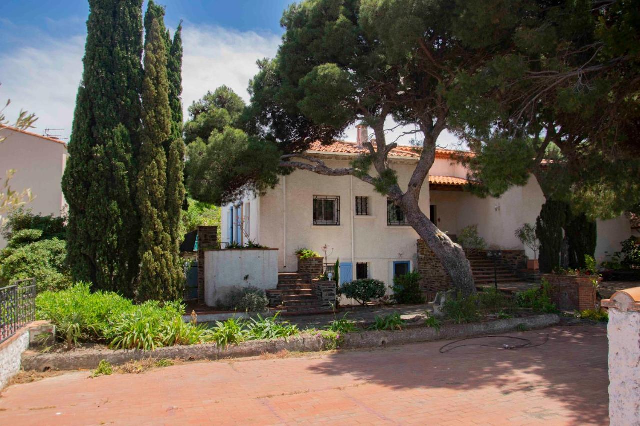 Villa Bleue - Les Pins Port Vendres Exteriör bild
