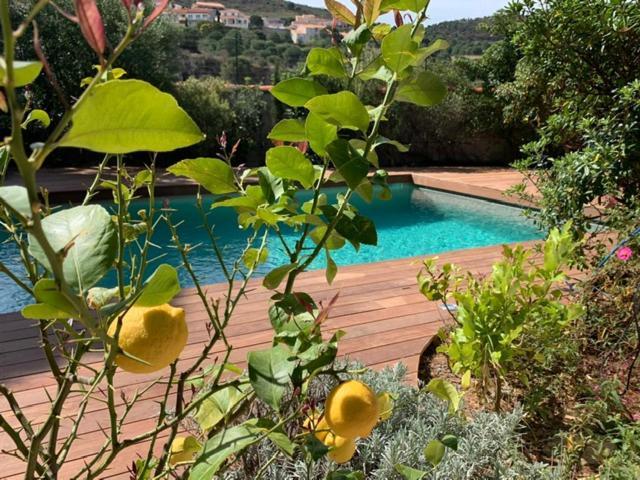 Villa Bleue - Les Pins Port Vendres Exteriör bild